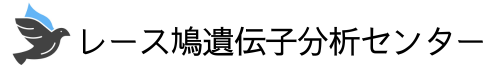 レース鳩遺伝子分析センター