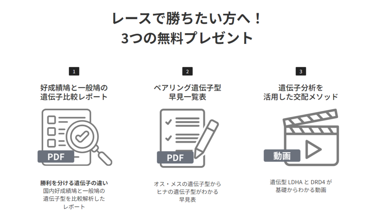 レース鳩遺伝子分析センター：10月号