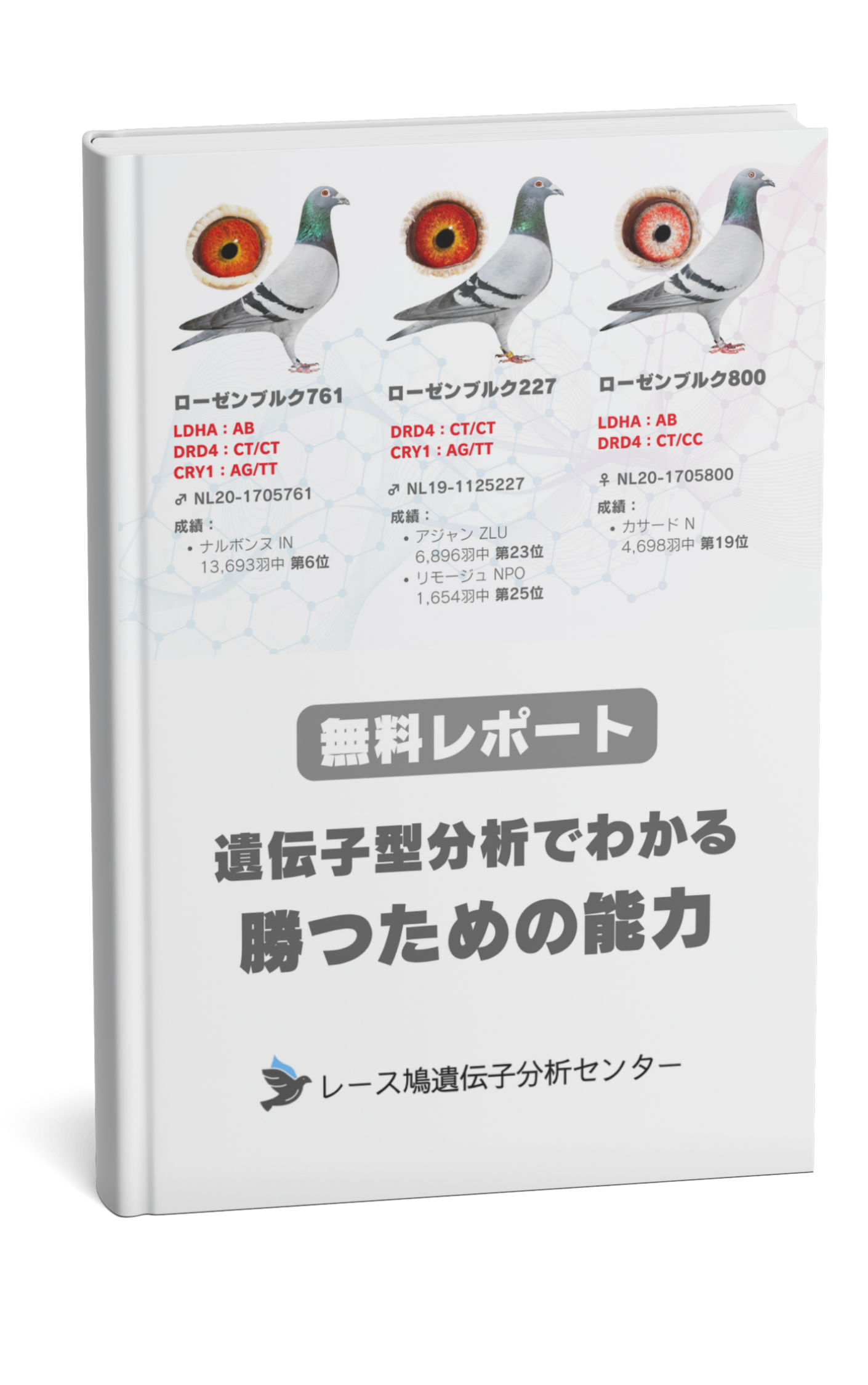 遺伝子型分析でわかる-勝つための能力
